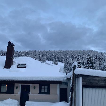 Apartament Studio Tabagnoz Prémanon Zewnętrze zdjęcie